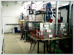 Профессиональный прочный завод по производству холодного масла из пальмового масла по разумной цене